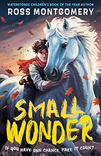 Small Wonder by Ross Montgomery